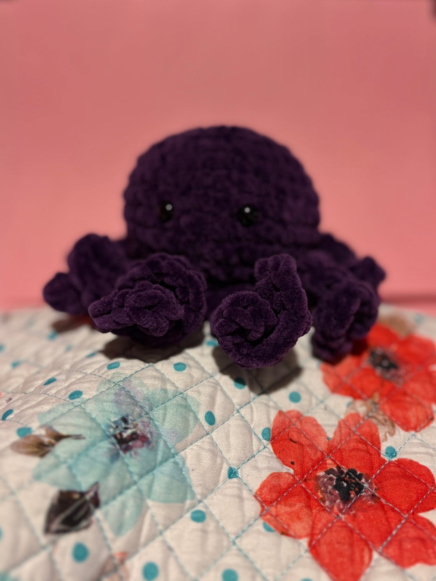 Curly leg octopus